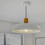 w87-arvada-pendant-1